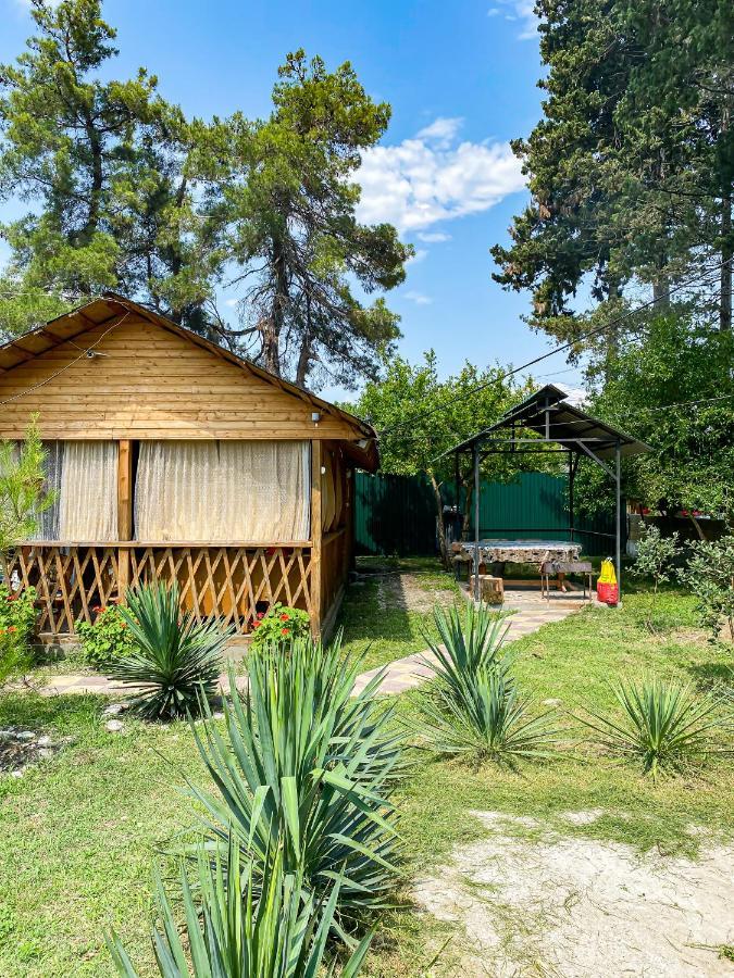 Guest House Harmony Πιτσούντα Εξωτερικό φωτογραφία