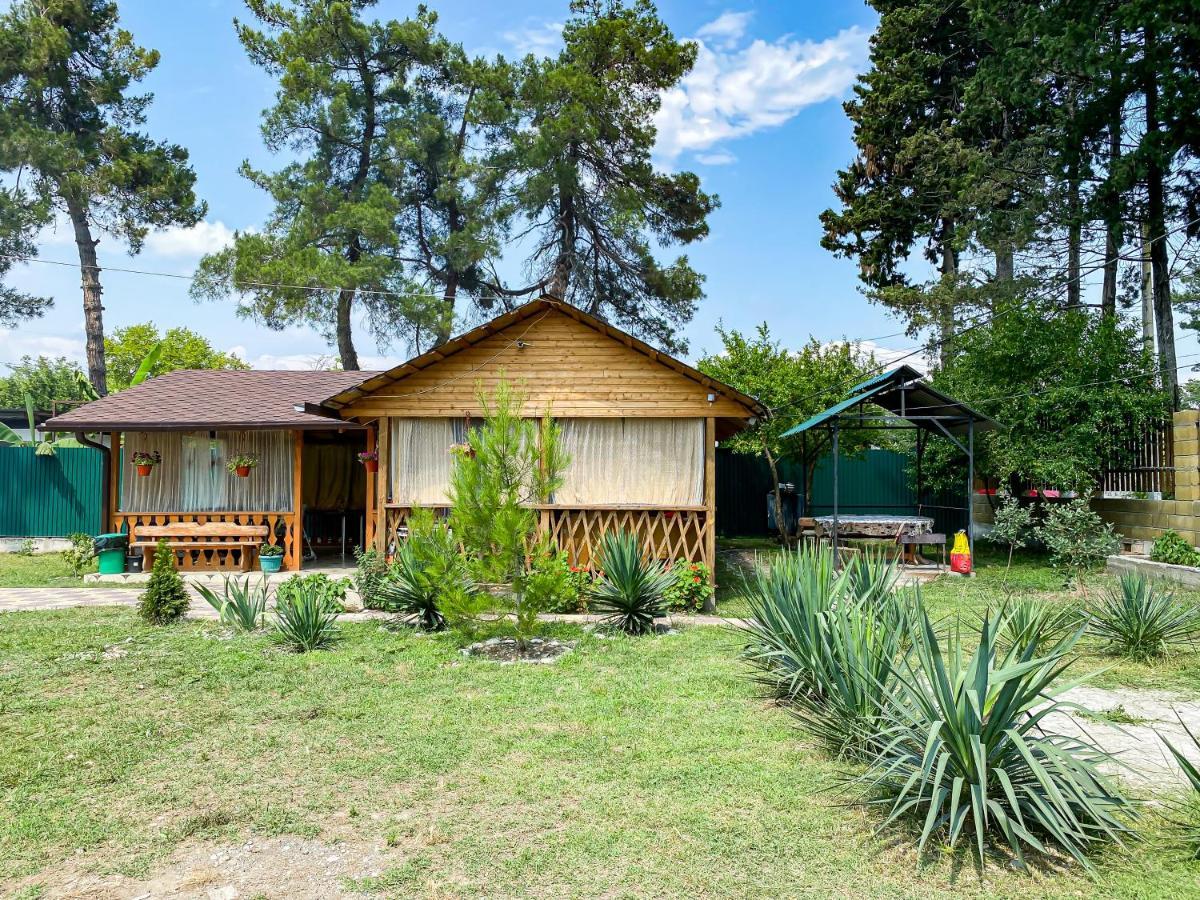 Guest House Harmony Πιτσούντα Εξωτερικό φωτογραφία