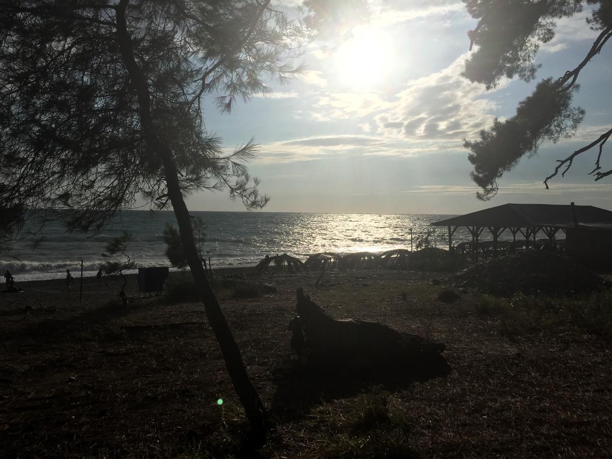 Guest House Harmony Πιτσούντα Εξωτερικό φωτογραφία
